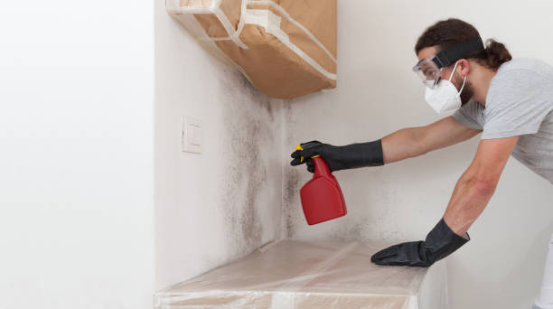 Professional Mold Testing technician working in Chester, NY