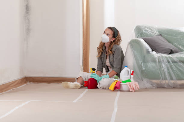 Reliable Mold Testing contractor in Chester, NY by WQB Mold Removal